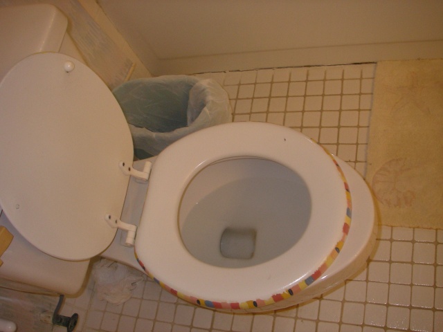 Pebbles Eleuthera has disgusting toilets